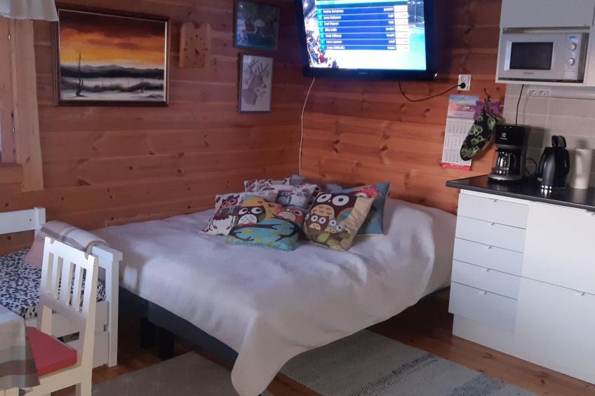 Pikkupöllö - foto 8