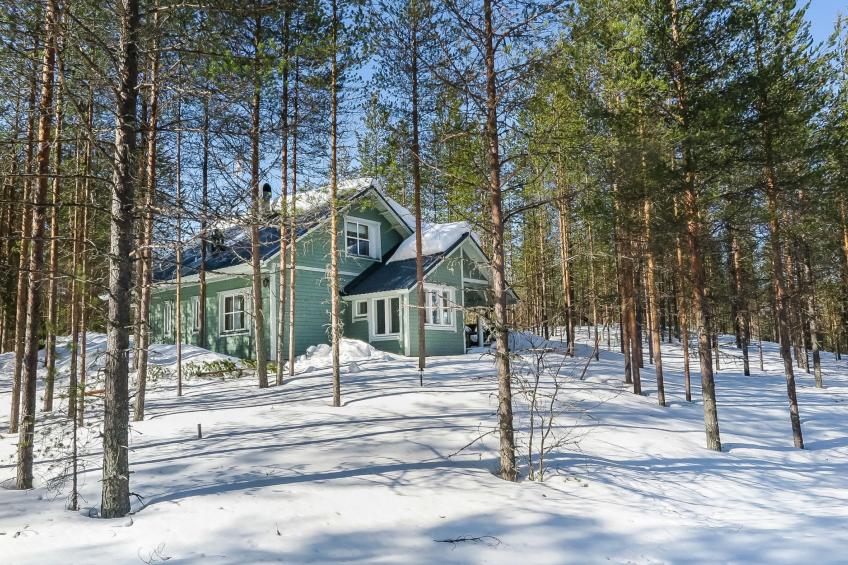 Huuhkalinna - foto 6