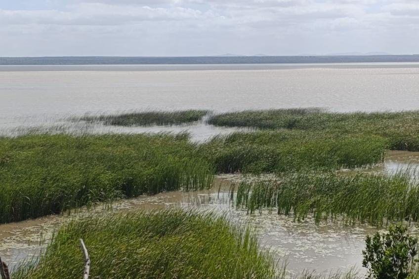 National Park View - foto 28