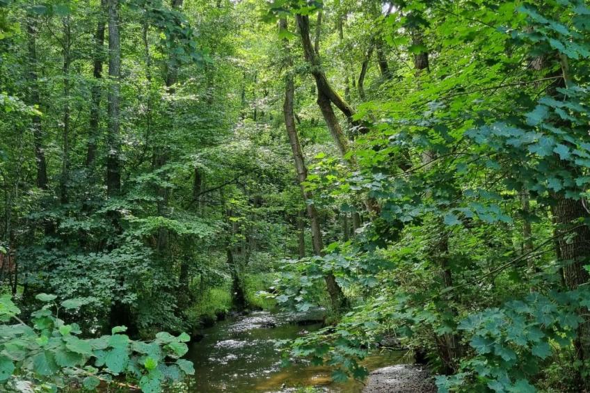 Lublewo21 Ferienhäuser - foto 27