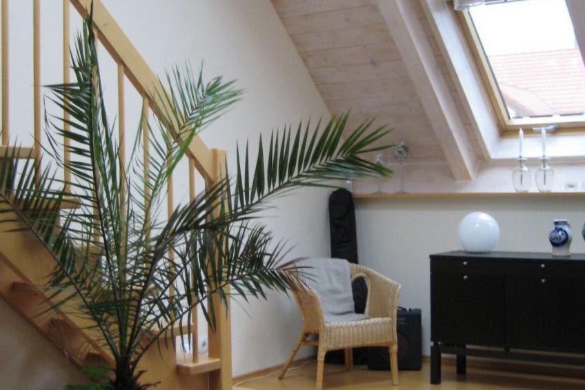 Spessart Bessenbach - foto 9