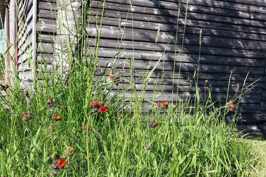 Zuckerbauernhof Weideblick - foto 24