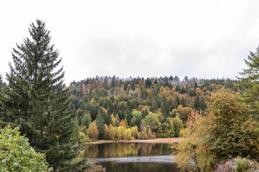 Altes Forsthaus - foto 37