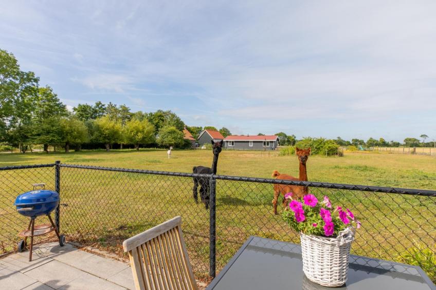 Vakantiehuis Groeneweg 3 - foto 20