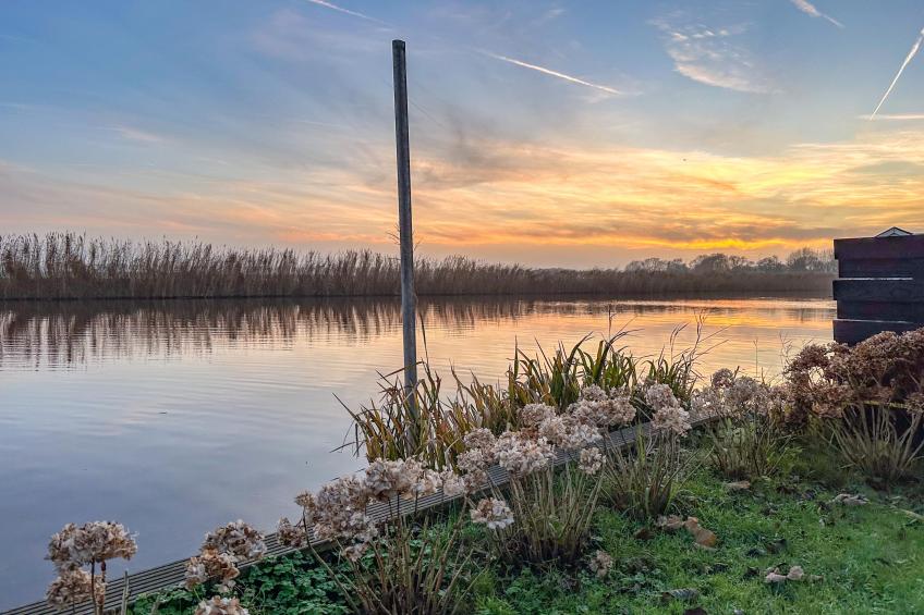 Beets View - foto 37