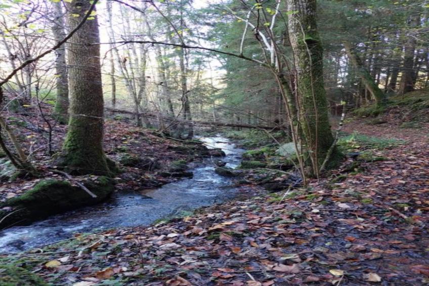 Am Bodensee - foto 16