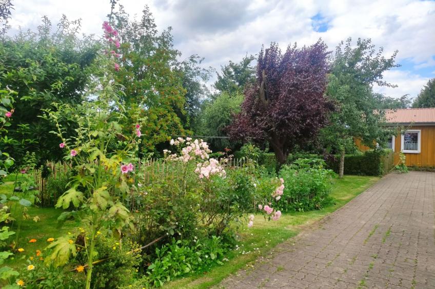 Janet Ratschkowski - foto 44