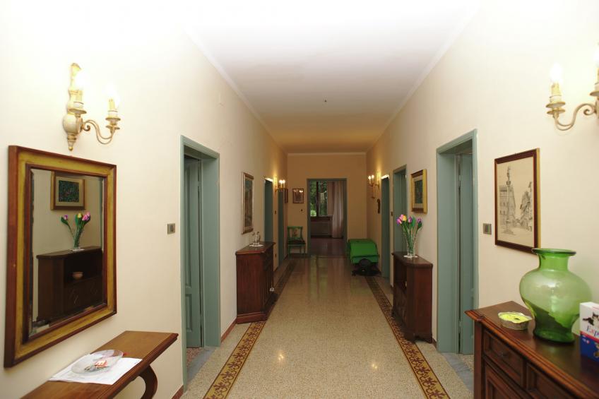 Terra Nisa - foto 24