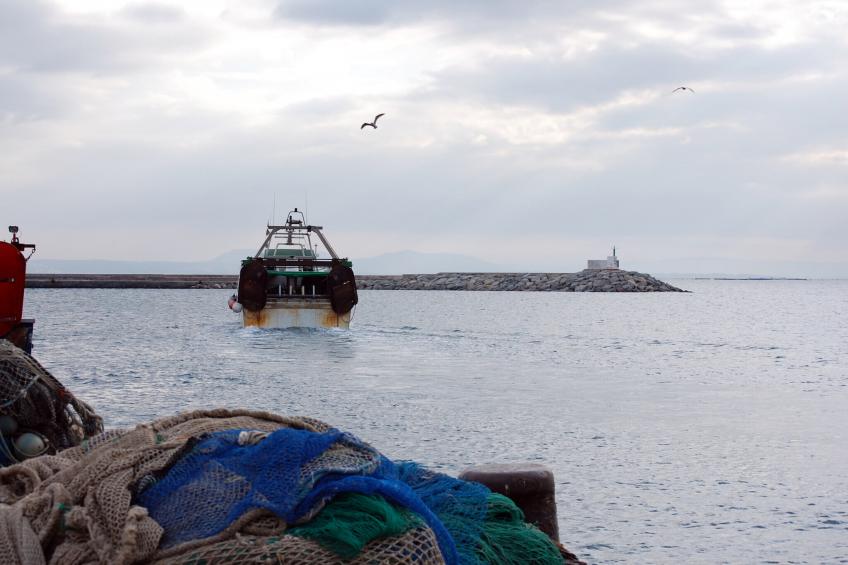 1157 LOS PALCOS vista Mar - foto 16