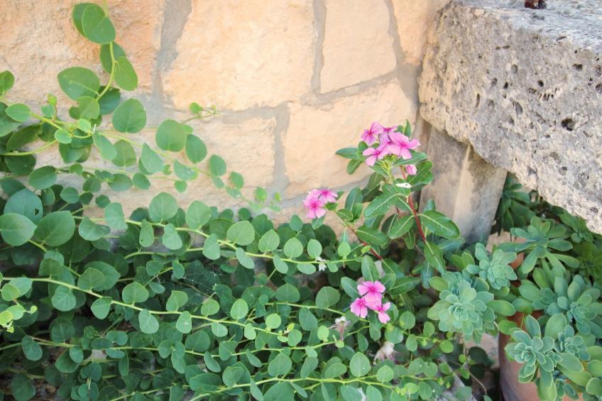 Apartment Kim- Two Bedroom Apartment with Terrace and Sea View - foto 31