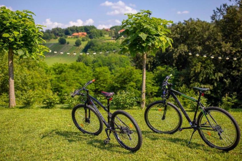 House AdaliA - foto 23