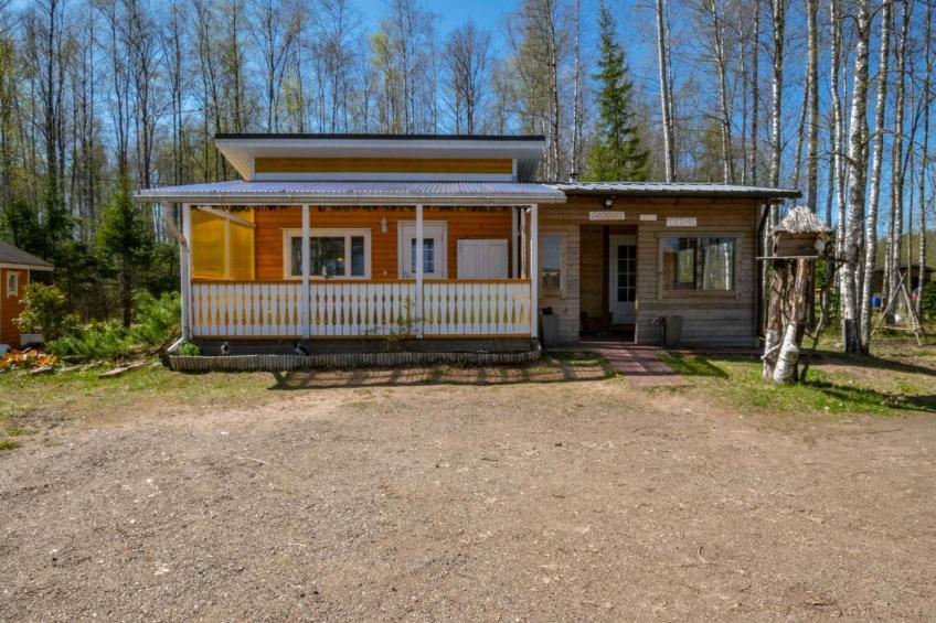 Lokki