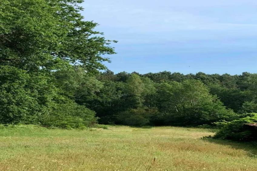 Ecolodge en Sequoia - foto 36