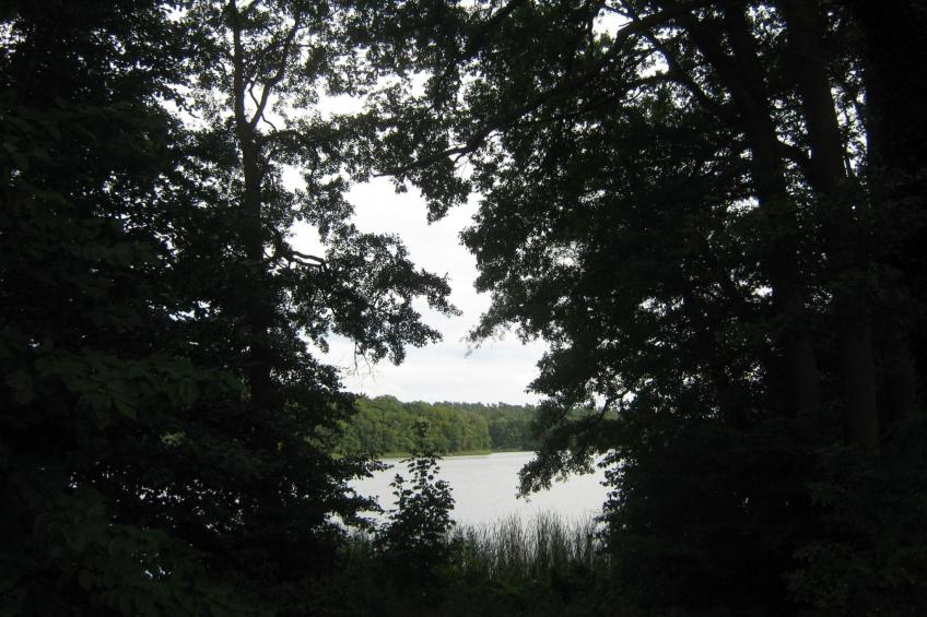 Kinkerbungalow - foto 15