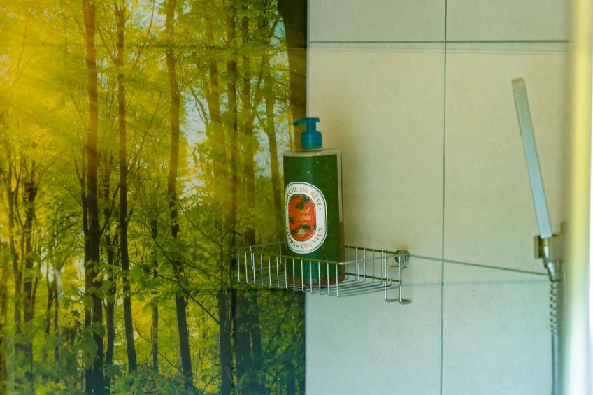 Domäne "Leons Garage" - foto 3