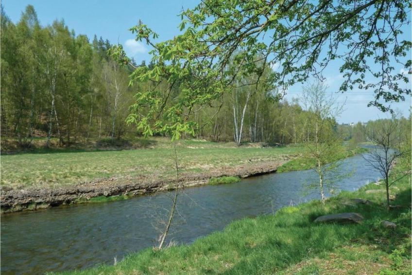 Ferienhaus Rechenberg Bienemuhle - foto 23