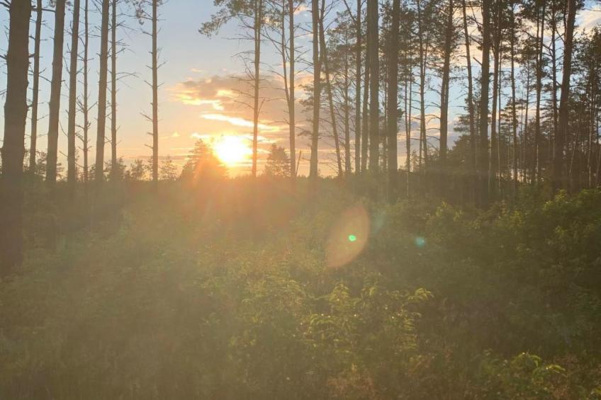 Sommerhaus in Ostrowite - foto 3