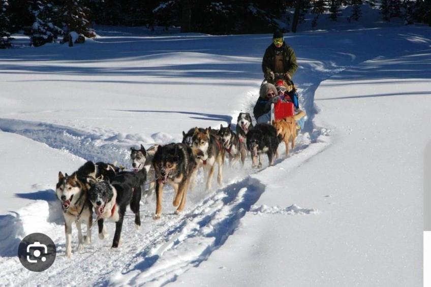 L'Orée des Pistes - foto 27