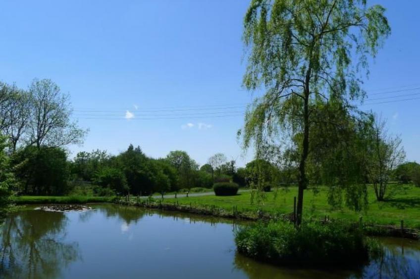 Helles, offenes Ferienhaus, Gemeinschaftspool Hunde - foto 24