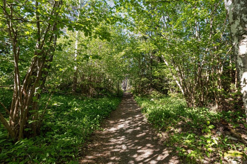 Harge Sörgård (NAK043) - foto 48