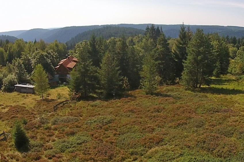 Landhaus Graf - foto 10