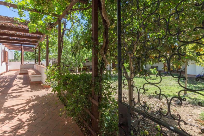 Natur, ökologische Nachhaltigkeit, nur für Erwachsene, Meer in der Nähe - foto 12