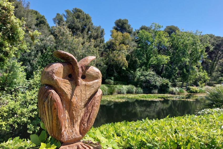 Les Rivages de Coudoulière - foto 46