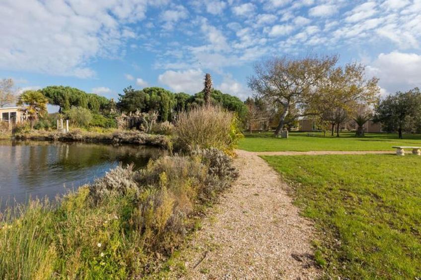 Fort den Haak - Chalet 1 tm 5  hond - foto 22