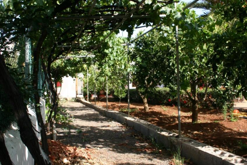 Typisch kanarische Finca Elena mit eigenem Pool - foto 32