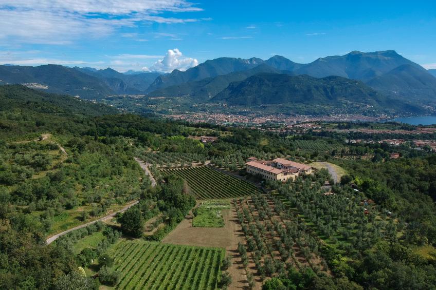 Holiday Sun - foto 20