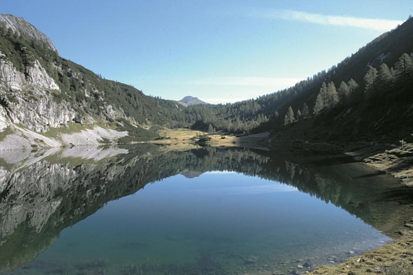 Panorama - foto 23
