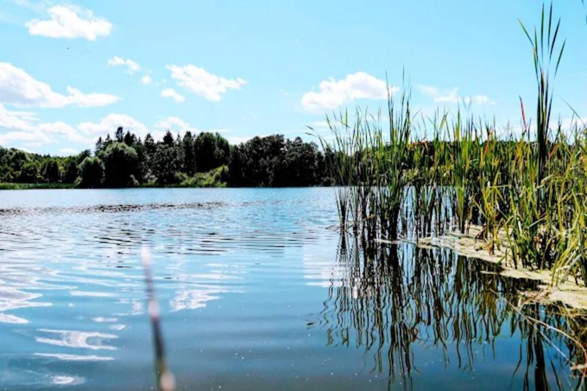 Feldblick 2 - foto 25