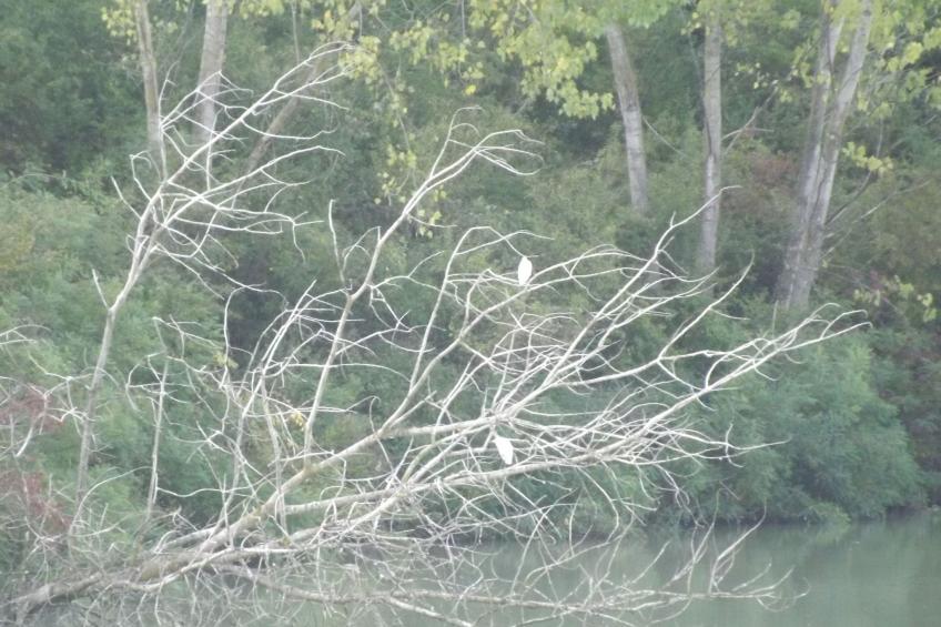 Wohnung in gemütlichem kleinen Bauernhaus - foto 32