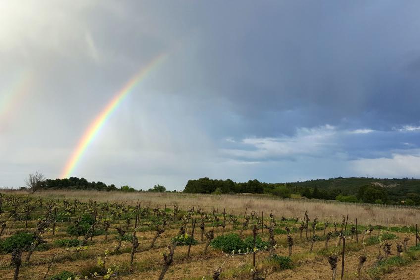 Les Hauts d'Azur - foto 21