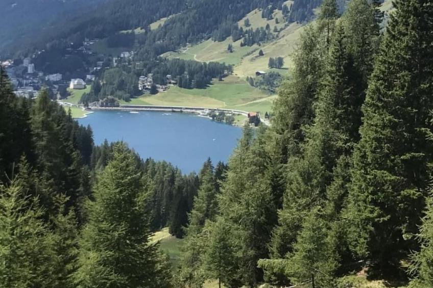 Urlaubstage in Davos - foto 8