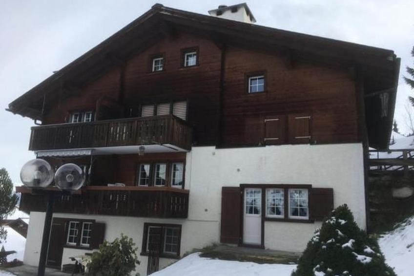 Studio Silberdistel - foto 3