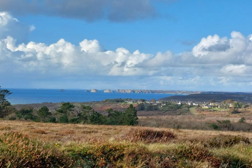 "Les Hortensias" (Die Hortensien) - foto 35