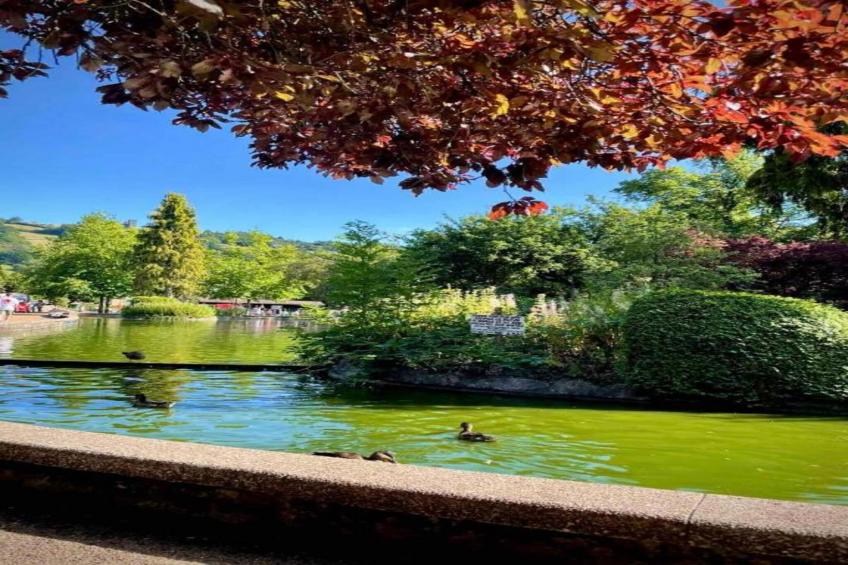 Nelly's Nook - foto 23