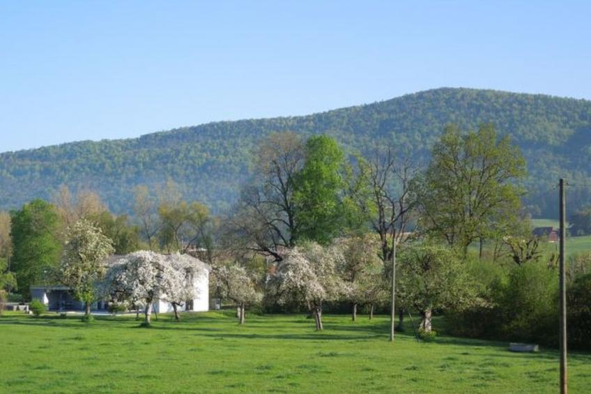Appartement - Chez Fleury, (Courcelon), - foto 3