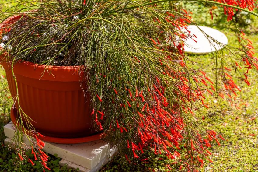 Apartment Bella Vista - Two Bedroom Apartment with Sea View - foto 21