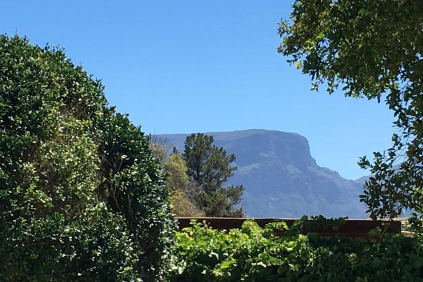 in Tokai mit Privatem Pool - foto 25