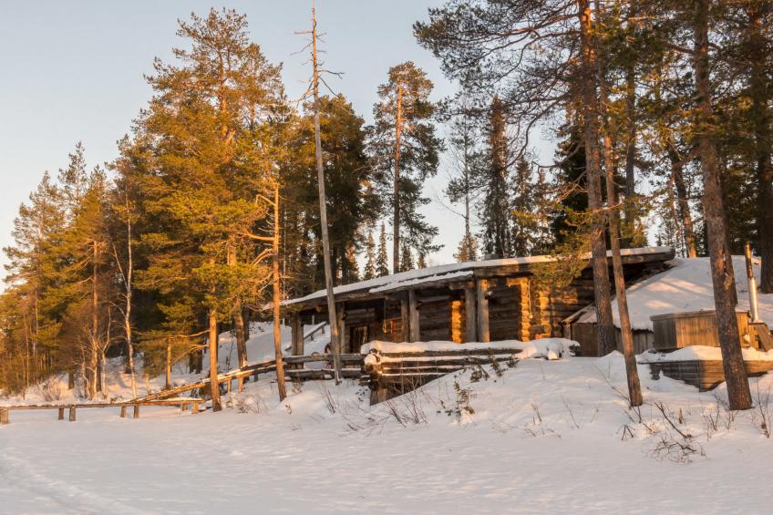 Metsä-luosto - foto 23