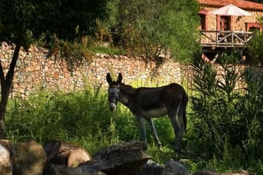 Finca "Zoya" mit Bergblick - foto 12