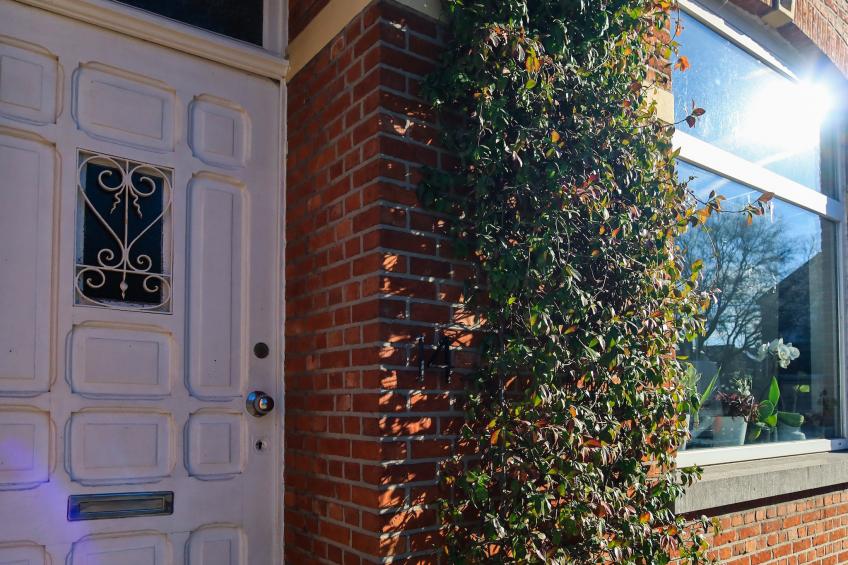 Cosy Courtyard House Hasselt - foto 6