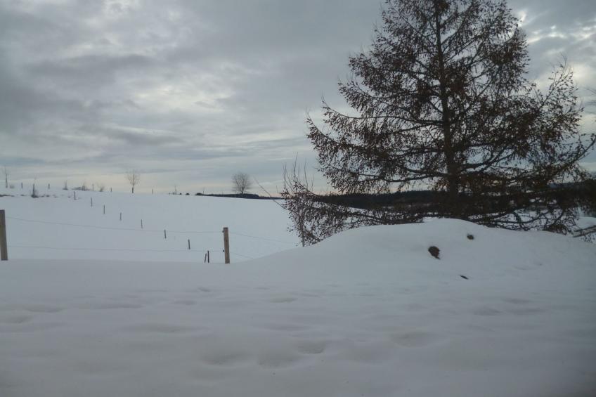 Luxus-Appartement in Kappel - foto 36