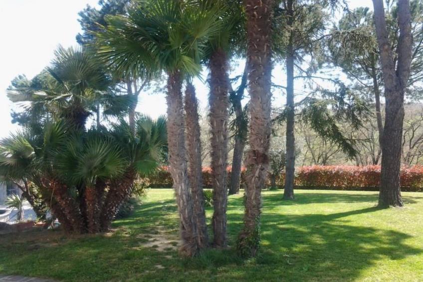 Villa mit privatem Pool in der Nähe von Petriolo - foto 6