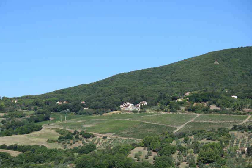 Poggio di Nocola - foto 18