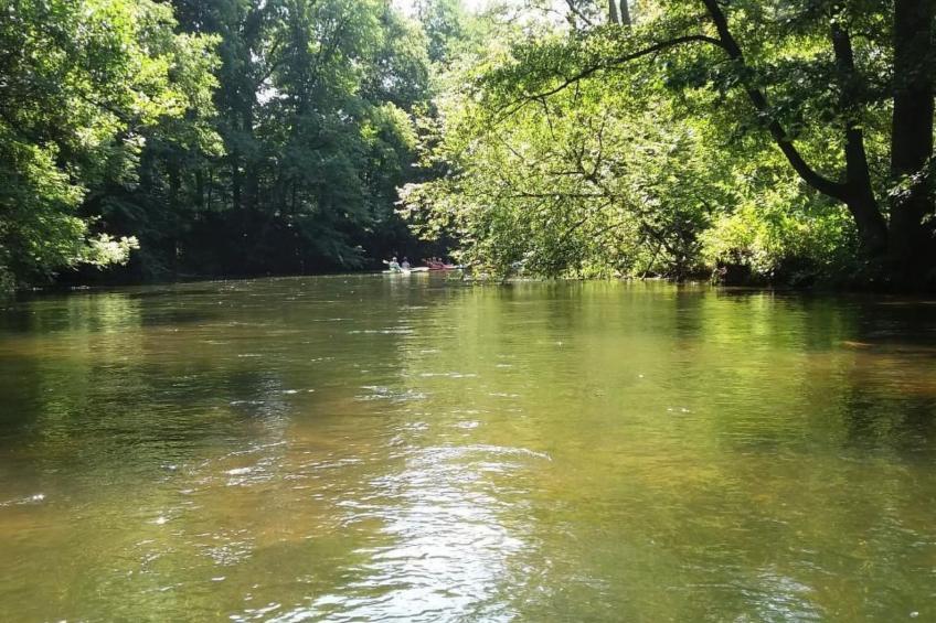 Fachwerkhaus "Paula" mit Blick auf das Wasser - foto 35