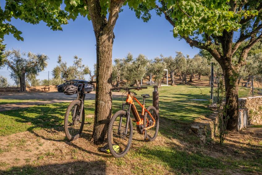 Tenuta del Serra - foto 37