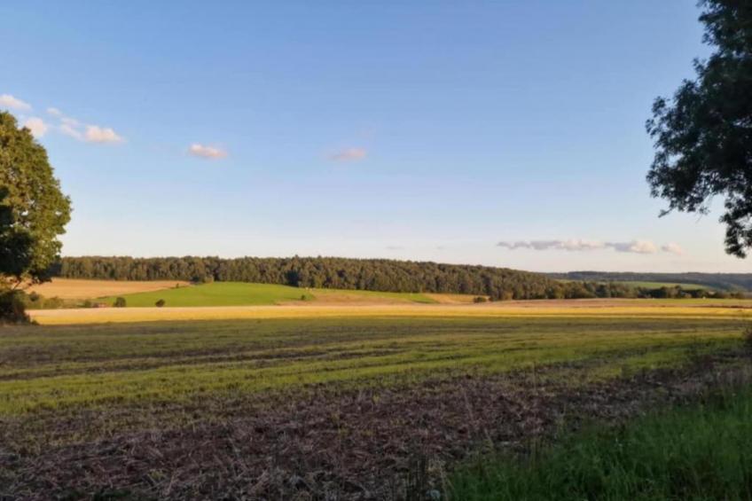 La Vue Phénoménale - foto 33